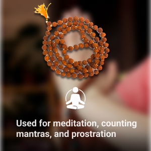 5 Mukhi Rudraksha Jaap Mala