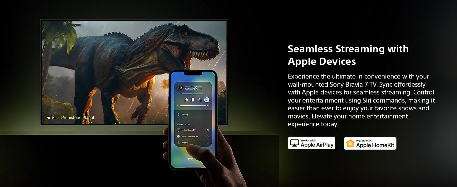 Apple Airplay2/HomeKit