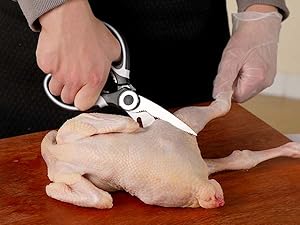 Poultry Scissors