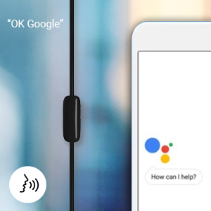 Voice Assistant