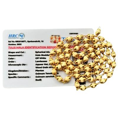 Apnisanskriti Tulsi Mala in Designer Caps (63 Beads, 3mm, Neck Length) - Natural Tulsi - Pack of 1 (White, Golden Cap)
