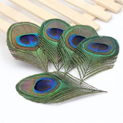 Radhesh Creation and Jewellery 10 cm Natural Peacock Feather (Mor pankh) Trimmed Peacock Eye Costumes Necklace Earrings Accessories Wedding (6 pcs)