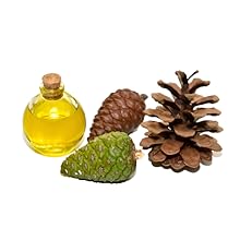 Pine Bark Extract