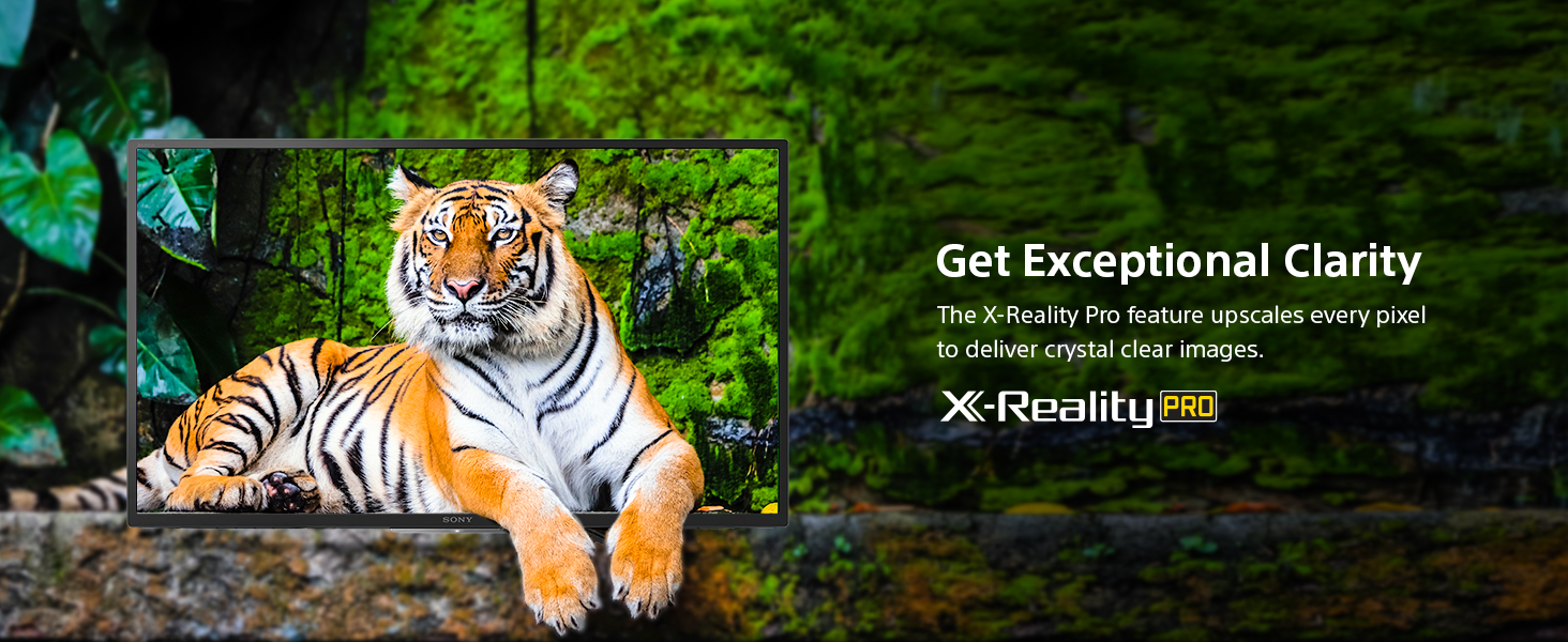 X-reality pro