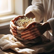 sprouts making with Muslin Cloth 