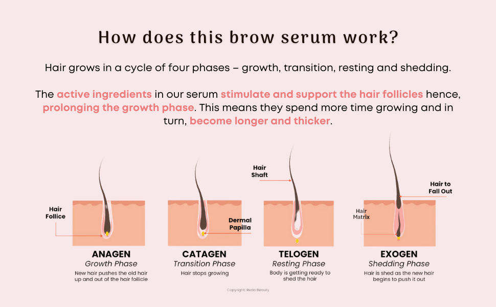 hair growth cycle