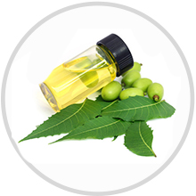 Neem Oil