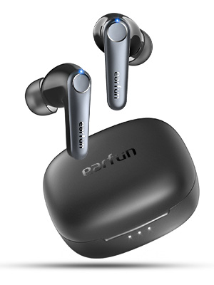 Noise Cancelling Wireless Earbuds