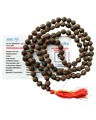 Apnisanskriti 5 Mukhi Black Rudraksha Mala (108+1 Beads, Lab Certified) Natural Black Rudraksha Beads (6mm)