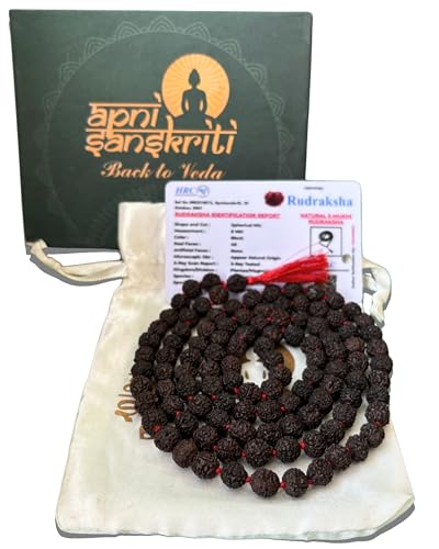 Apnisanskriti Black Rudraksha Mala (8 mm, Chest length, 108+1 Beads, Lab Certified) - Natural Black Rudraksha Beads - Pack of 1