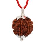 Brown 4 Mukhi Nepali Rudraksha Certified and Mantra Siddha Four Face Rudraksh with Lab Certificate