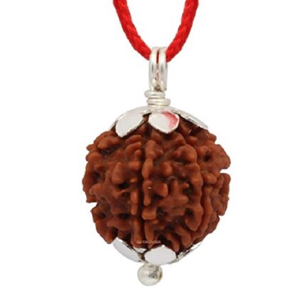 Brown 4 Mukhi Nepali Rudraksha Certified and Mantra Siddha Four Face Rudraksh with Lab Certificate