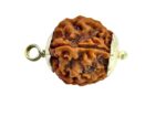 Certified Gems 6 Mukhi Rudraksha Original Certified 16mm With Pendant 6 Mukhi Original Nepali Rudraksha 6 मुखी रुद्राक्ष ओरिजिनल 6 Face Rudraksha Beads Six Face Rudraksha Original 6 Mukhi