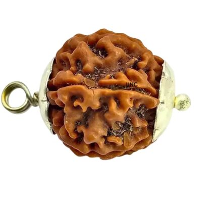 Certified Gems 6 Mukhi Rudraksha Original Certified 16mm With Pendant 6 Mukhi Original Nepali Rudraksha 6 मुखी रुद्राक्ष ओरिजिनल 6 Face Rudraksha Beads Six Face Rudraksha Original 6 Mukhi