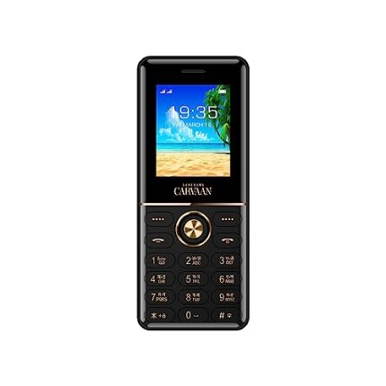 Saregama Carvaan DON Lite (Punjabi)- Keypad Mobile Phone - 351 Pre-Loaded Evergreen Punjabi Songs, Dual Sim, 1.8 Inch Display, 800 mAh Battery, 600 MB Free Memory Space, FM, BT, Camera | Classic Black