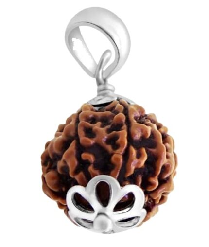 SreeGems 6 Mukhi Rudraksha Original Certified 6 Face Rudraksha Original with Silver Capping Blessed by Lord Kartikeya 6 Mukhi Rudraksha Original 6 मुखी रुद्राक्ष ओरिजिनल 6 Mukhi Rudraksha Pendant