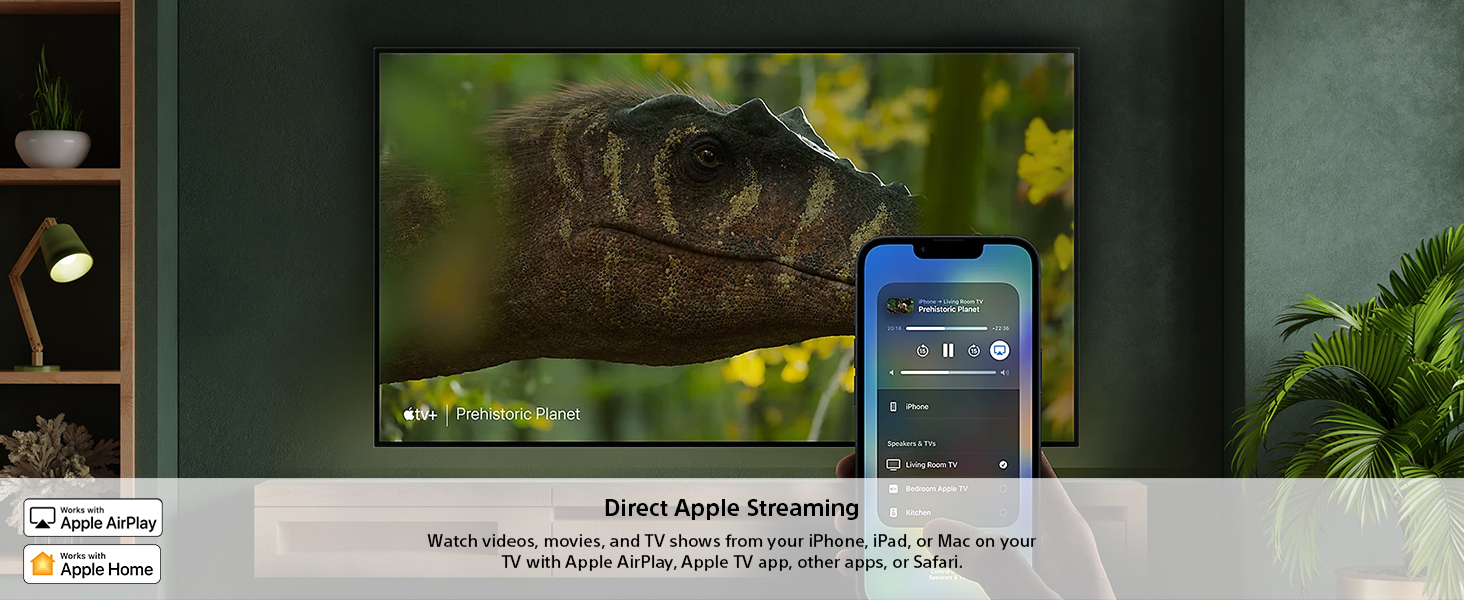 Apple Airplay2/HomeKit