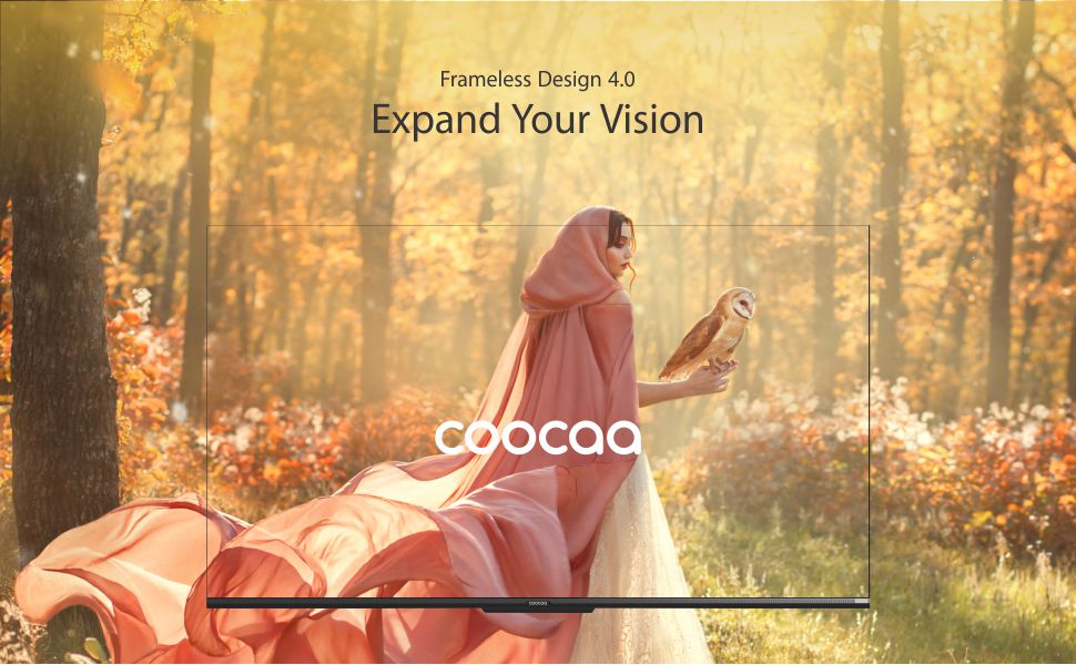 Coocaa frameless design