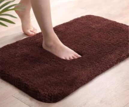 HOWNICE Bathroom Door Mat | Anti Slip Floor Mat for Home and Kitchen | Anti Skid Water Soaking Bathroom Mat | Super Water Absorbent Foot Matt Bedroom (40 * 60 cm) (Brown Matt)